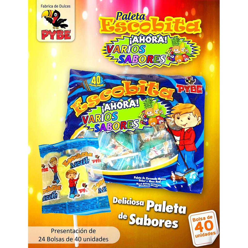 PALETA PYBE ESCOBITA AZUL 24X40