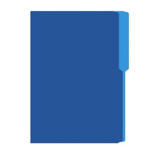 FOLDER FLASHFILE OFICIO CELESTE 5X100