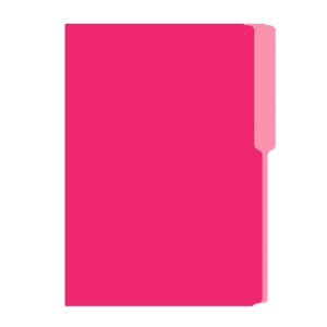 FOLDER FLASHFILE OFICIO ROSADO 5X100