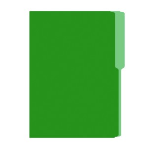 FOLDER FLASHFILE OFICIO VERDE 5X100