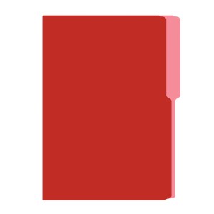 FOLDER FLASHFILE OFICIO ROJO 5X100