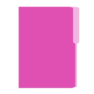 FOLDER FLASHFILE OFICIO FUCSIA 5X100