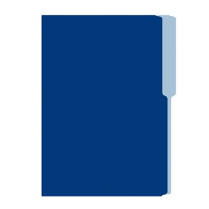 FOLDER FLASHFILE OFICIO AZUL 5X100