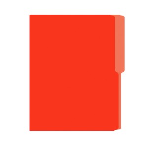 FOLDER FLASHFILE CARTA NARANJA 5X100