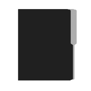 FOLDER FLASHFILE CARTA NEGRO 5X100