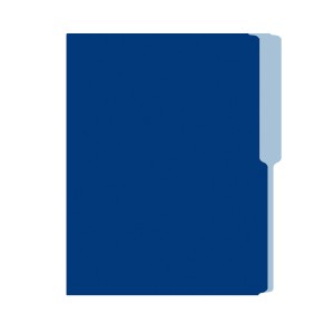 FOLDER FLASHFILE CARTA AZUL 5X100