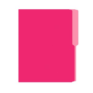 FOLDER FLASHFILE CARTA ROSADO 5X100