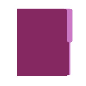 FOLDER FLASHFILE CARTA VIOLETA X100