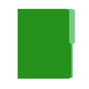 FOLDER FLASHFILE CARTA VERDE 5X100