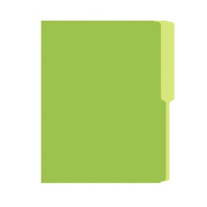 FOLDER FLASHFILE CARTA VERDE LIMON X100