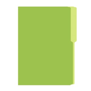 FOLDER FLASHFILE OFICIO VERDE LIMON 5X100
